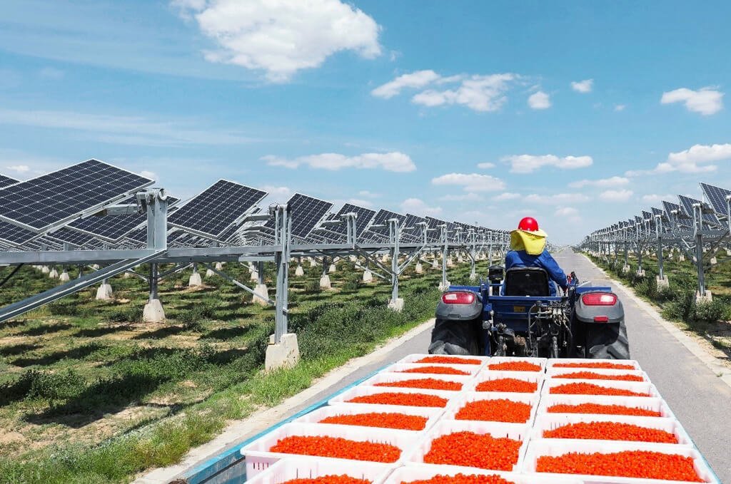 Photovoltaics for the farmer
