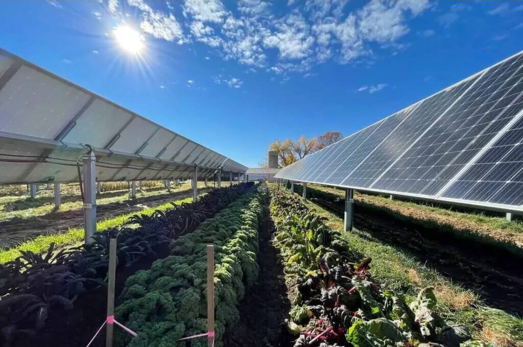 Photovoltaics for the farmer1