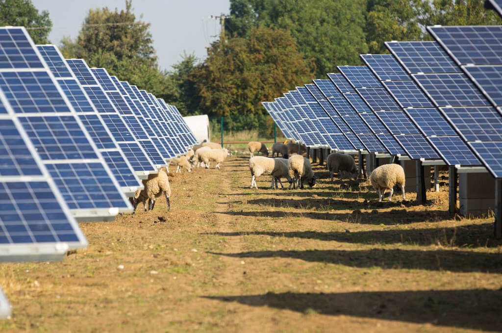 Photovoltaics for the farmer2