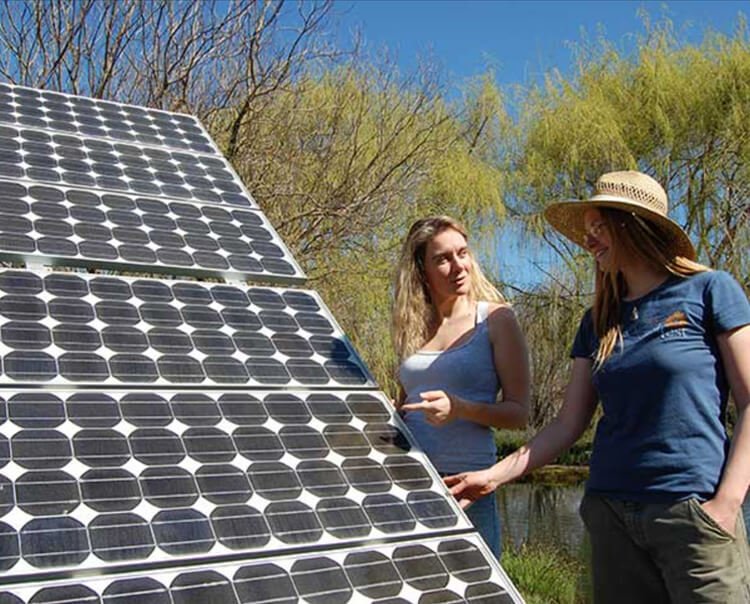 Solar panel buying guide: everything you need to know