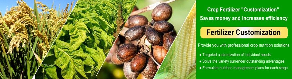 Fertilizer customization