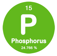 Phosphorus