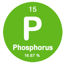 Phosphorus