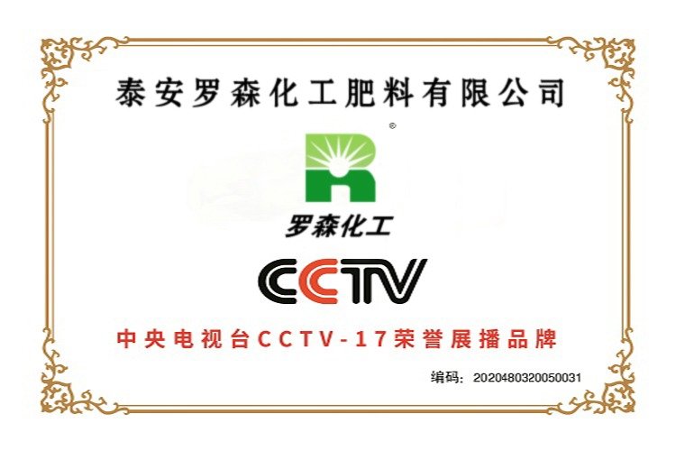 Risso's CCTV Honor Broadcast Brand