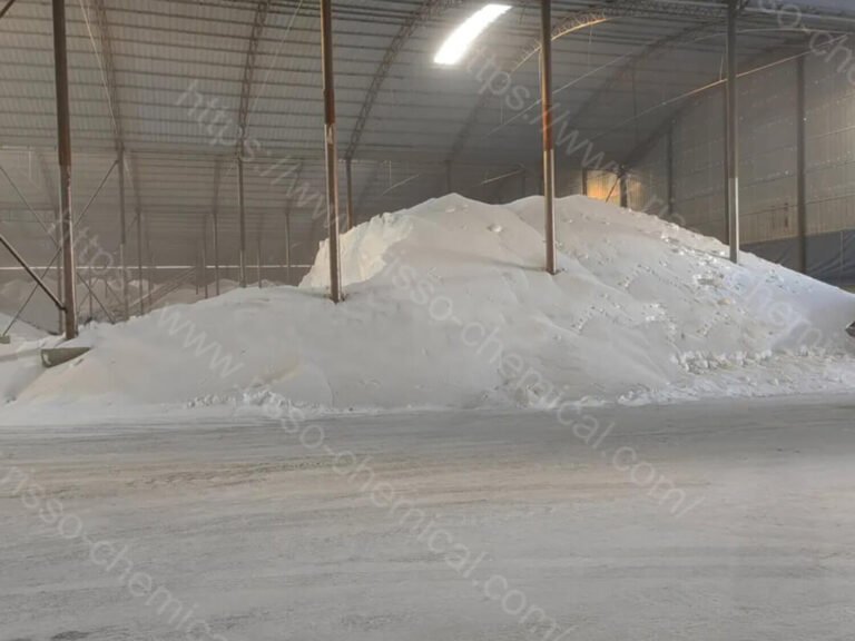 Risso Raw Materials Workshop