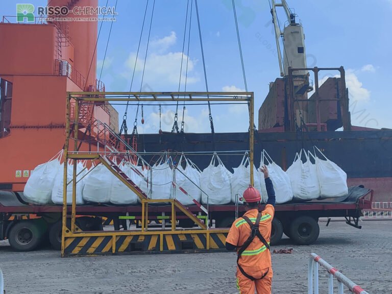 Risso fertilizer is being loaded