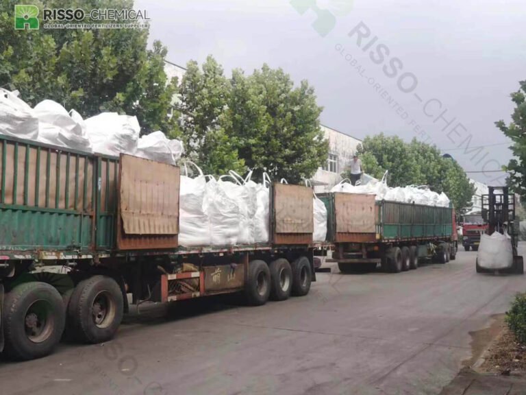 Risso fertilizer is being loaded onto a truck