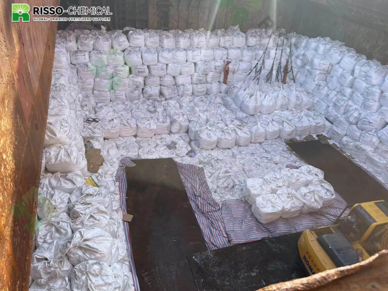 Risso fertilizer is being loaded1