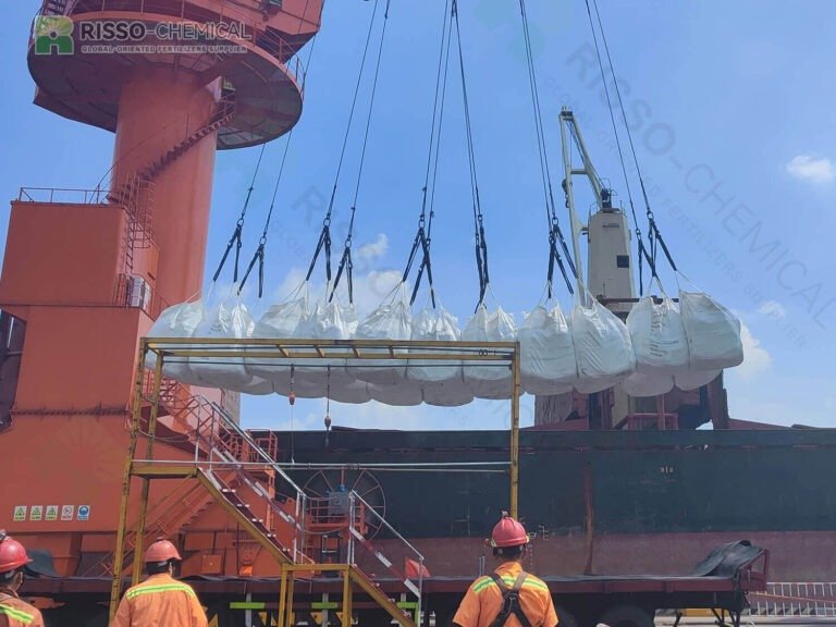 Risso fertilizer is being loaded2