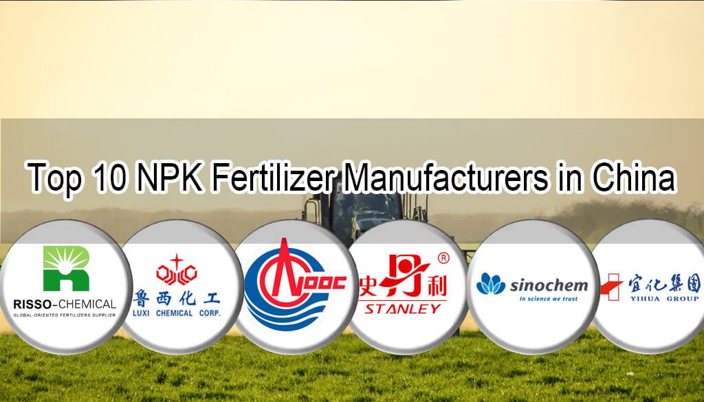 China NPK Fertilizer Manufacturer