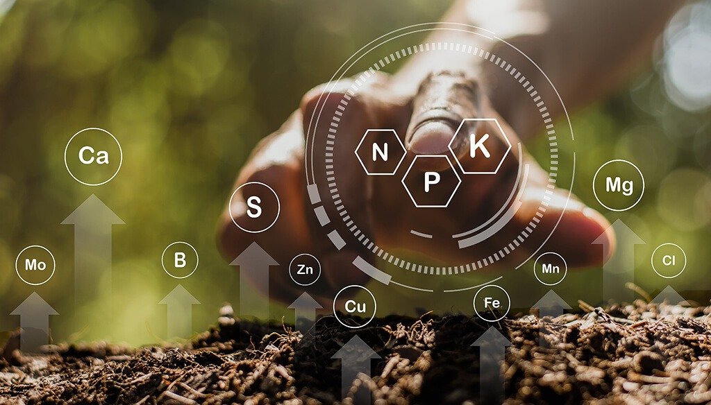 When NPK Fertilizers May Not Be Ideal