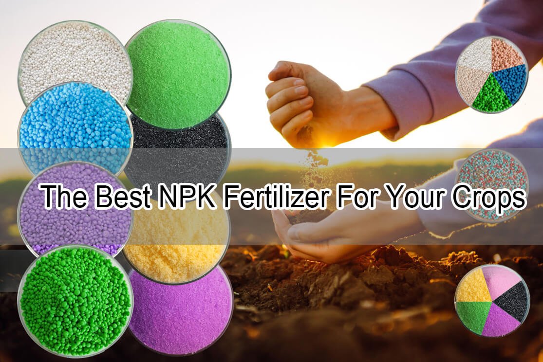 Best NPK Fertilizer