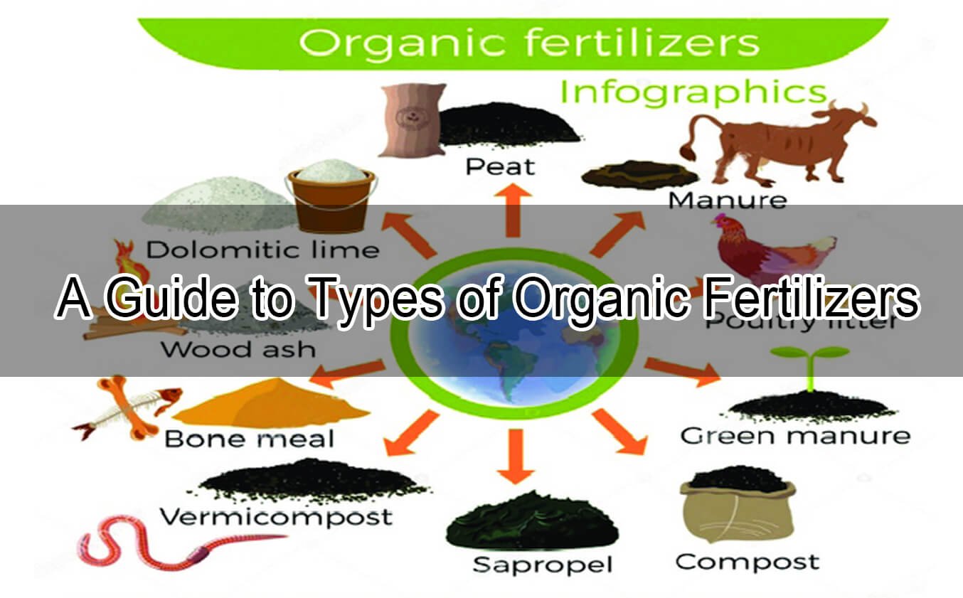 A Guide to Types of Organic Fertilizers