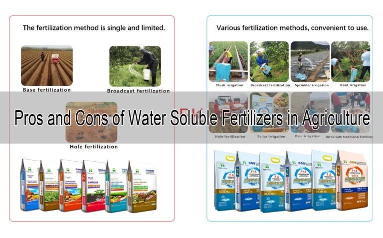 Pros and Cons of Water Soluble Fertilizers in Agriculture