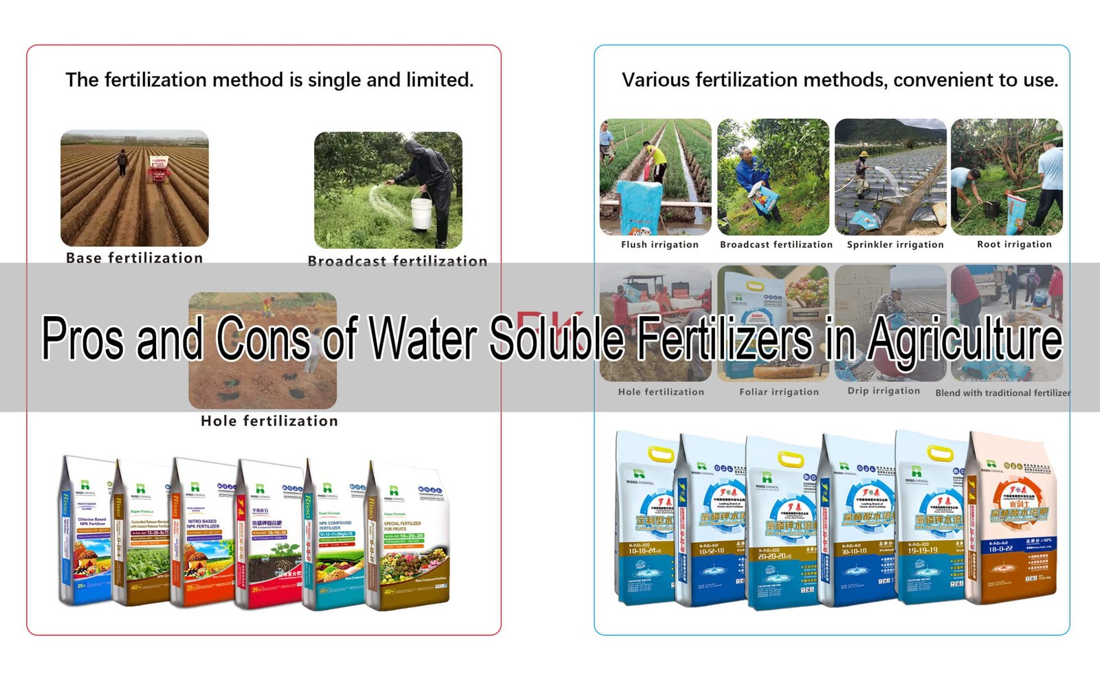Pros and Cons of Water Soluble Fertilizers in Agriculture