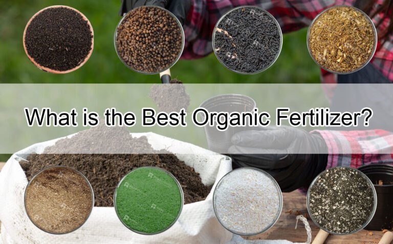 What is the Best Organic Fertilizer