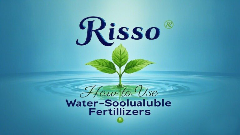 How to Use Water-Soluble Fertilizers