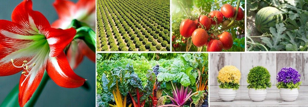 NPK applicable crops