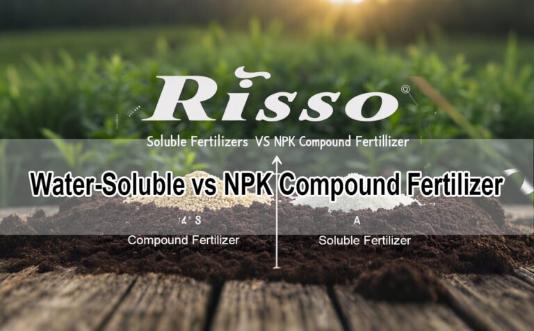 soluble fertilizer vs npk (1)