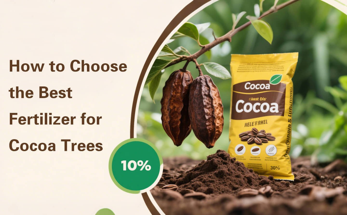 How to Choose the Best Cocoa Fertilizer