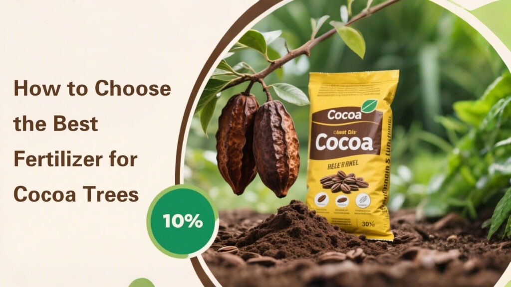 How to Choose the Best Fertilizer for Cocoa Trees