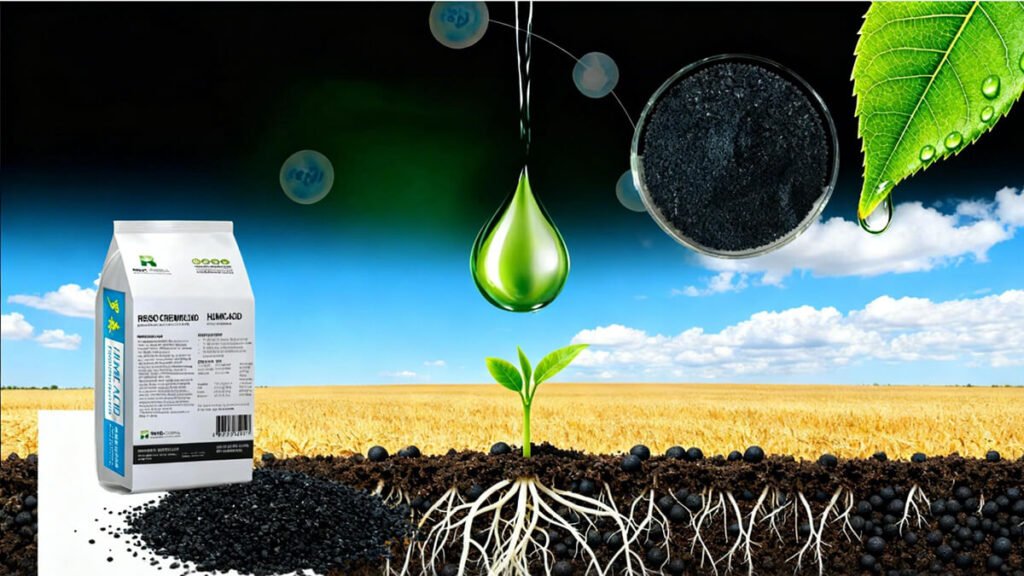 How-Potassium-Humate-Boosts-Fertilizer-Efficiency-Growth