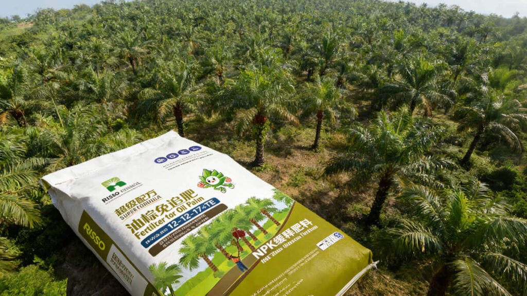 Fertilization Programs by Oil Palm Growth Stage