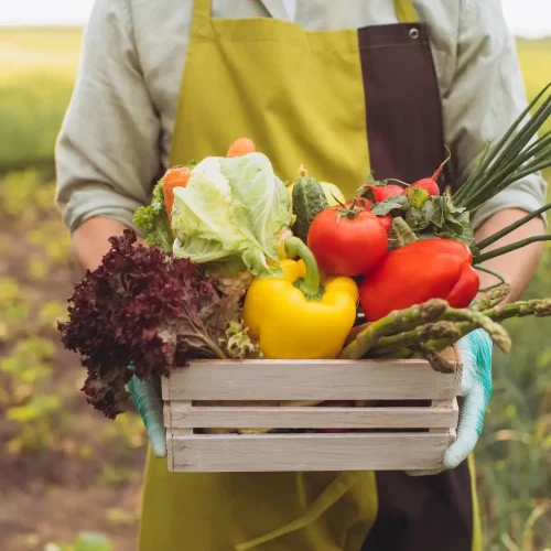 Benefits-of-Organic-Fertilizers